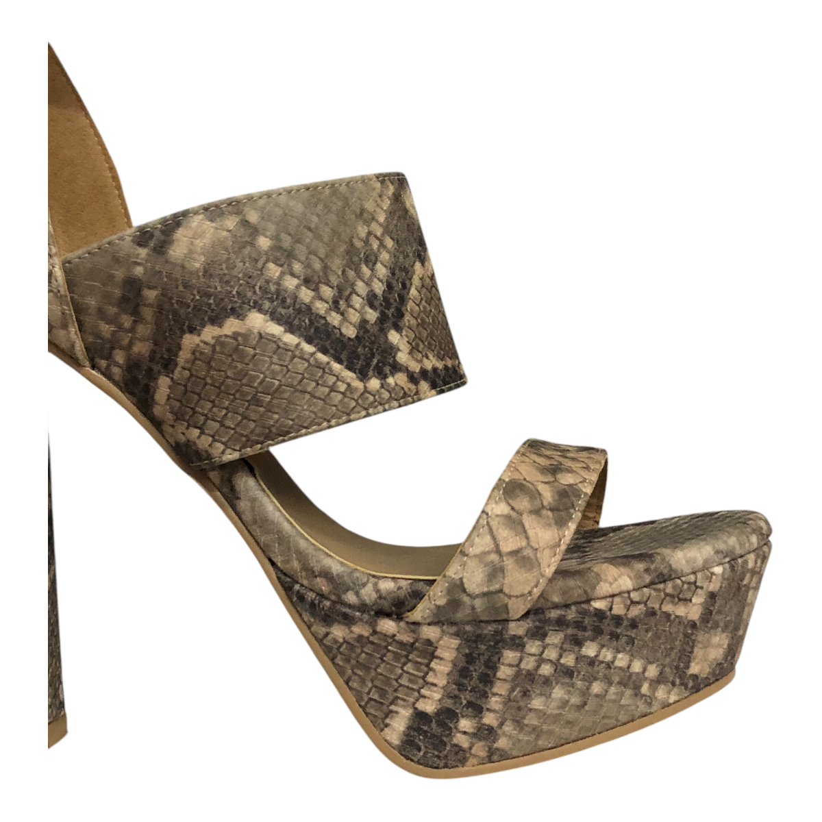 Zapato Para Dama SHULA TORI