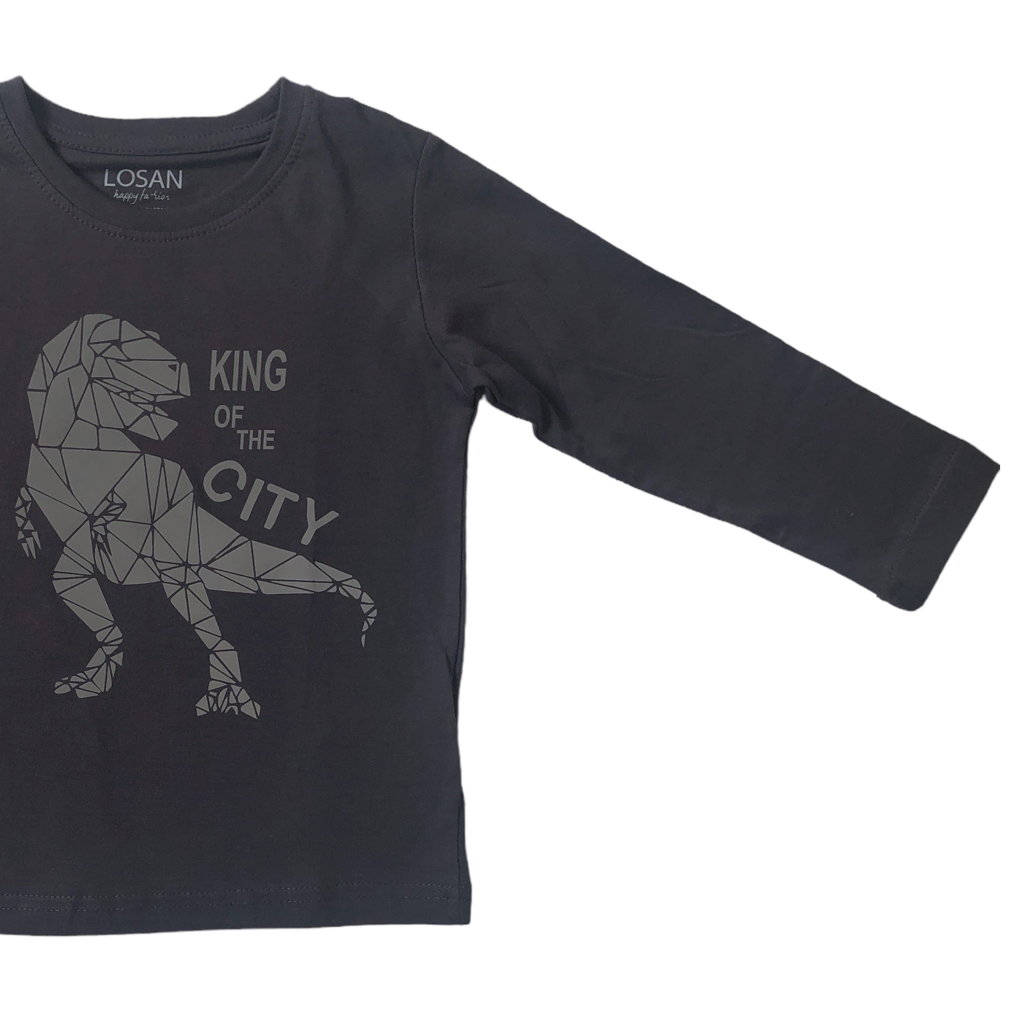 Playera Rex “KING OF THE CITY” gris niño Losan
