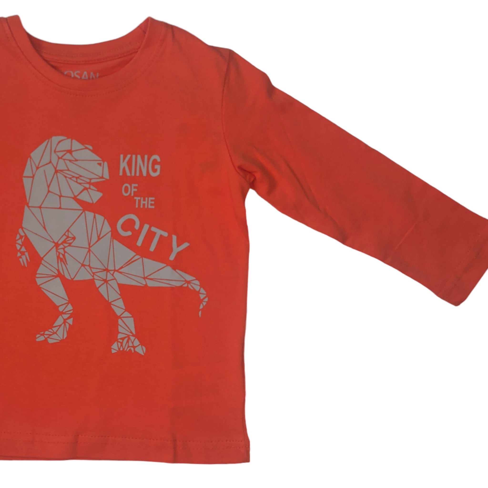 Playera Rex “KING OF THE CITY” naranja niño Losan