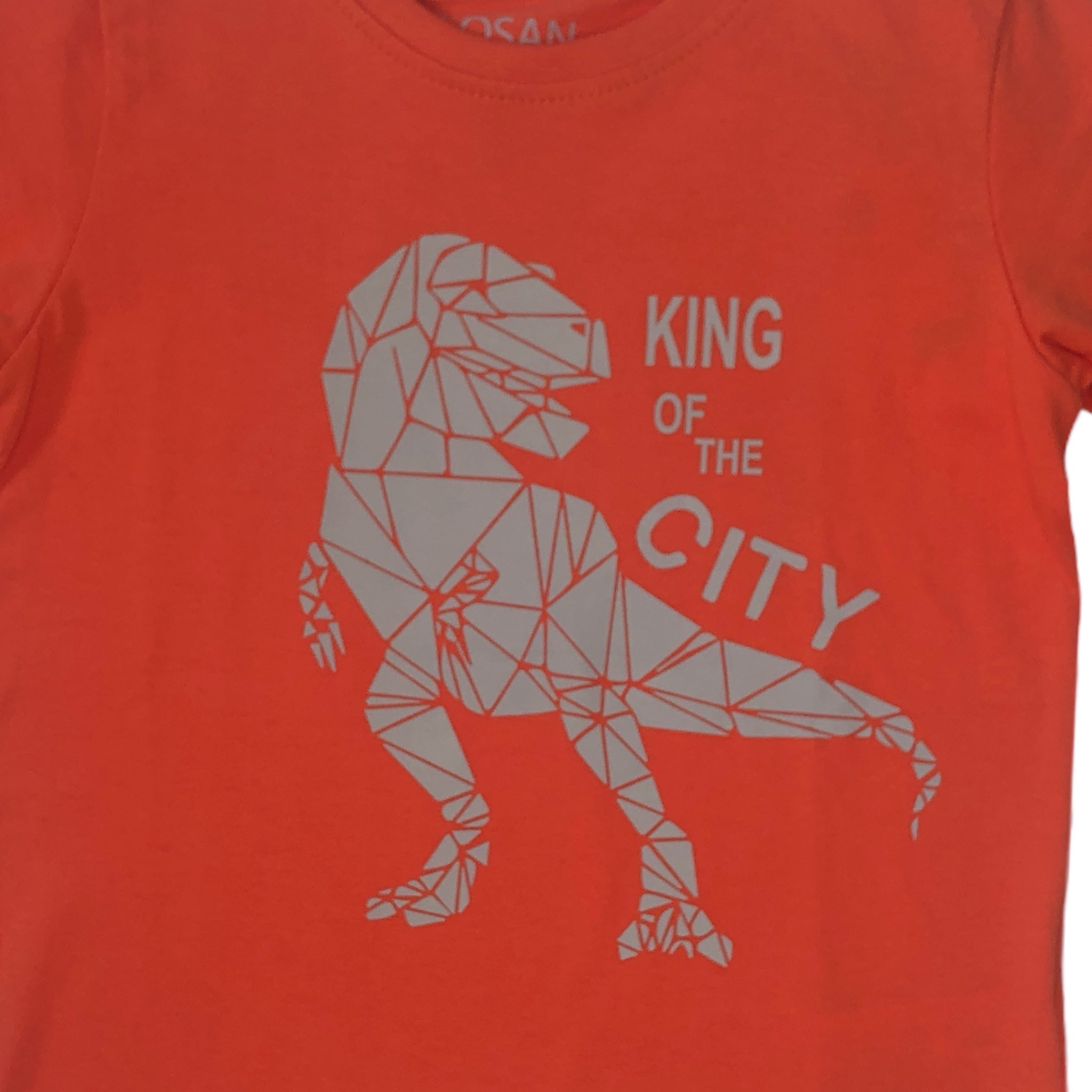 Playera Rex “KING OF THE CITY” naranja niño Losan