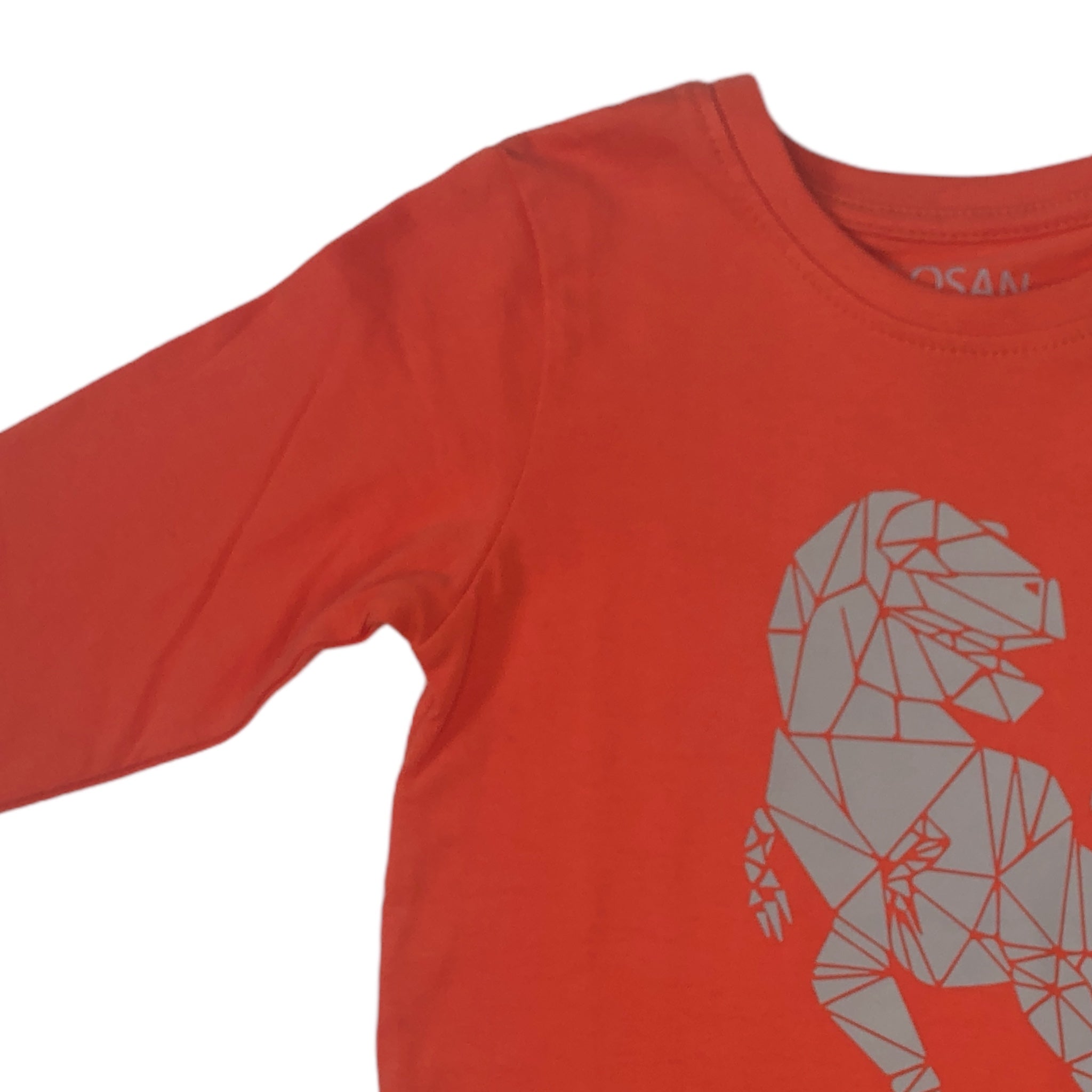 Playera Rex “KING OF THE CITY” naranja niño Losan