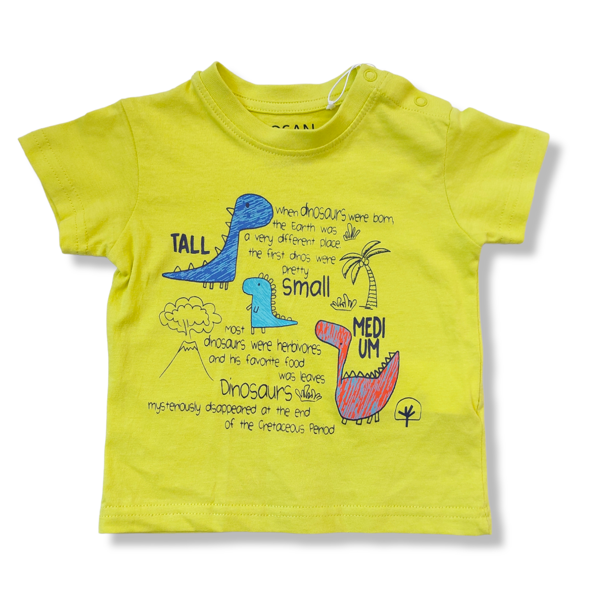 Playera verde dinosaurio "TALL, SMALL, MEDIUM" para bebé niño Losan