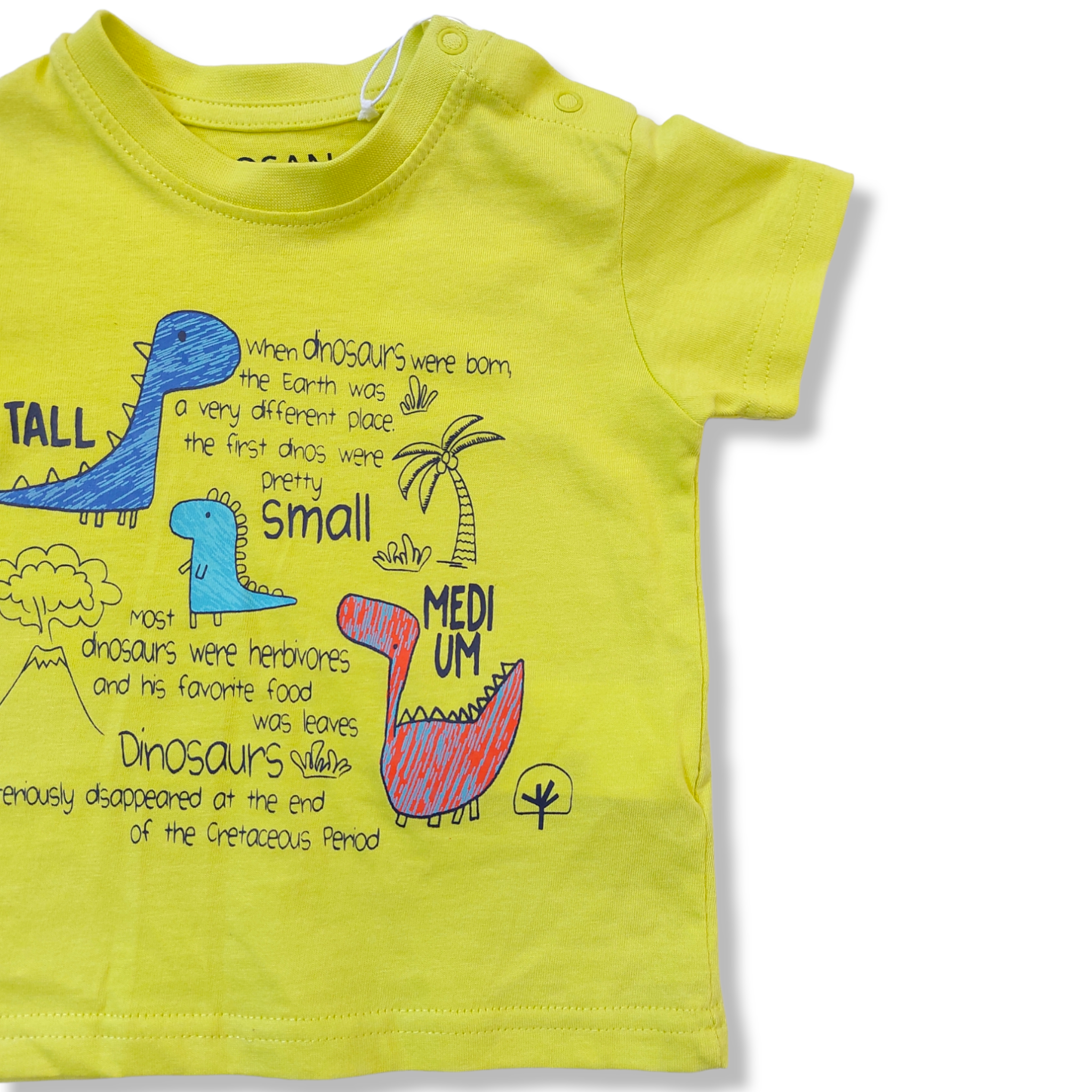 Playera verde dinosaurio "TALL, SMALL, MEDIUM" para bebé niño Losan