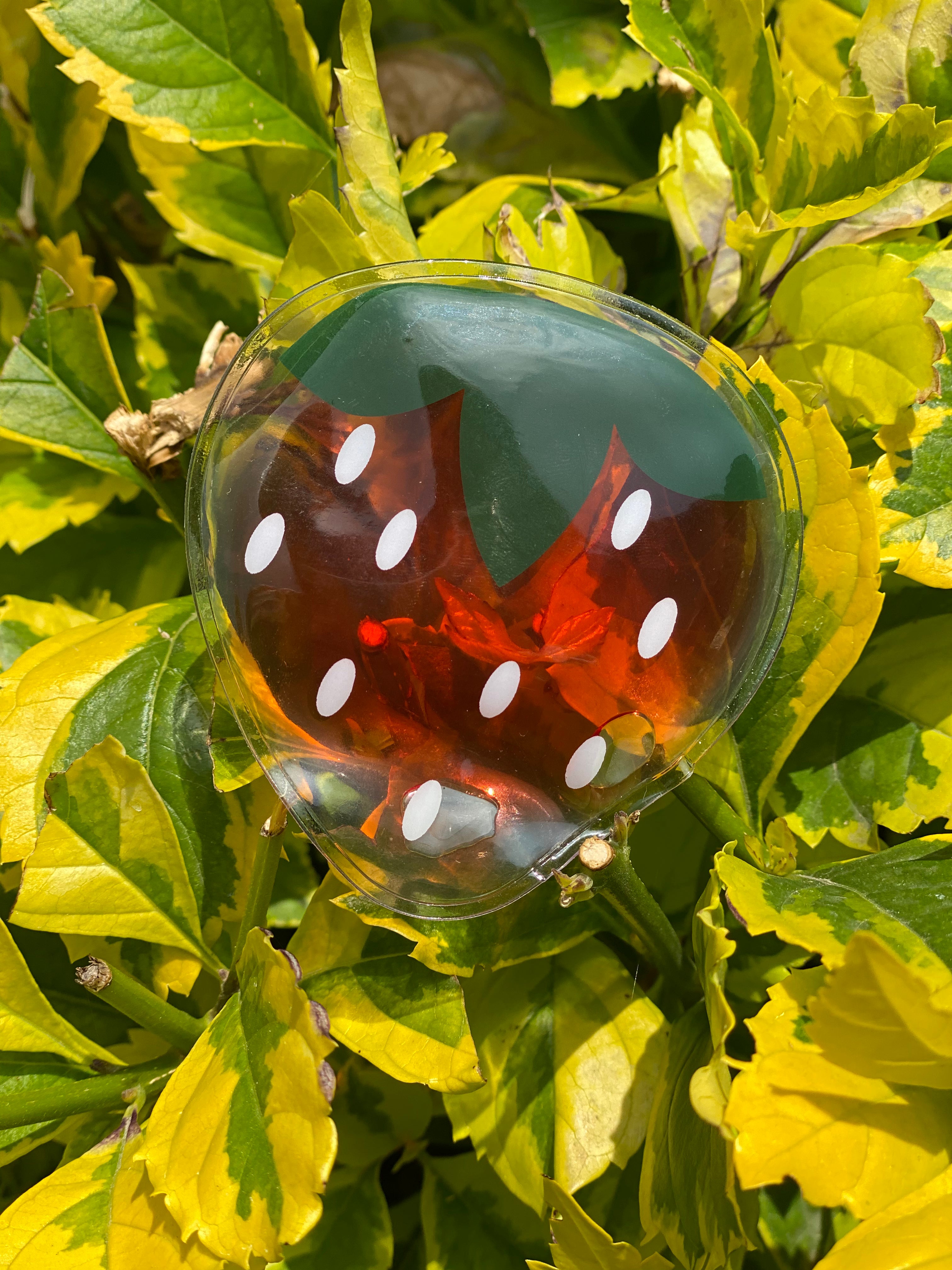 Parches Gel Reutilizables