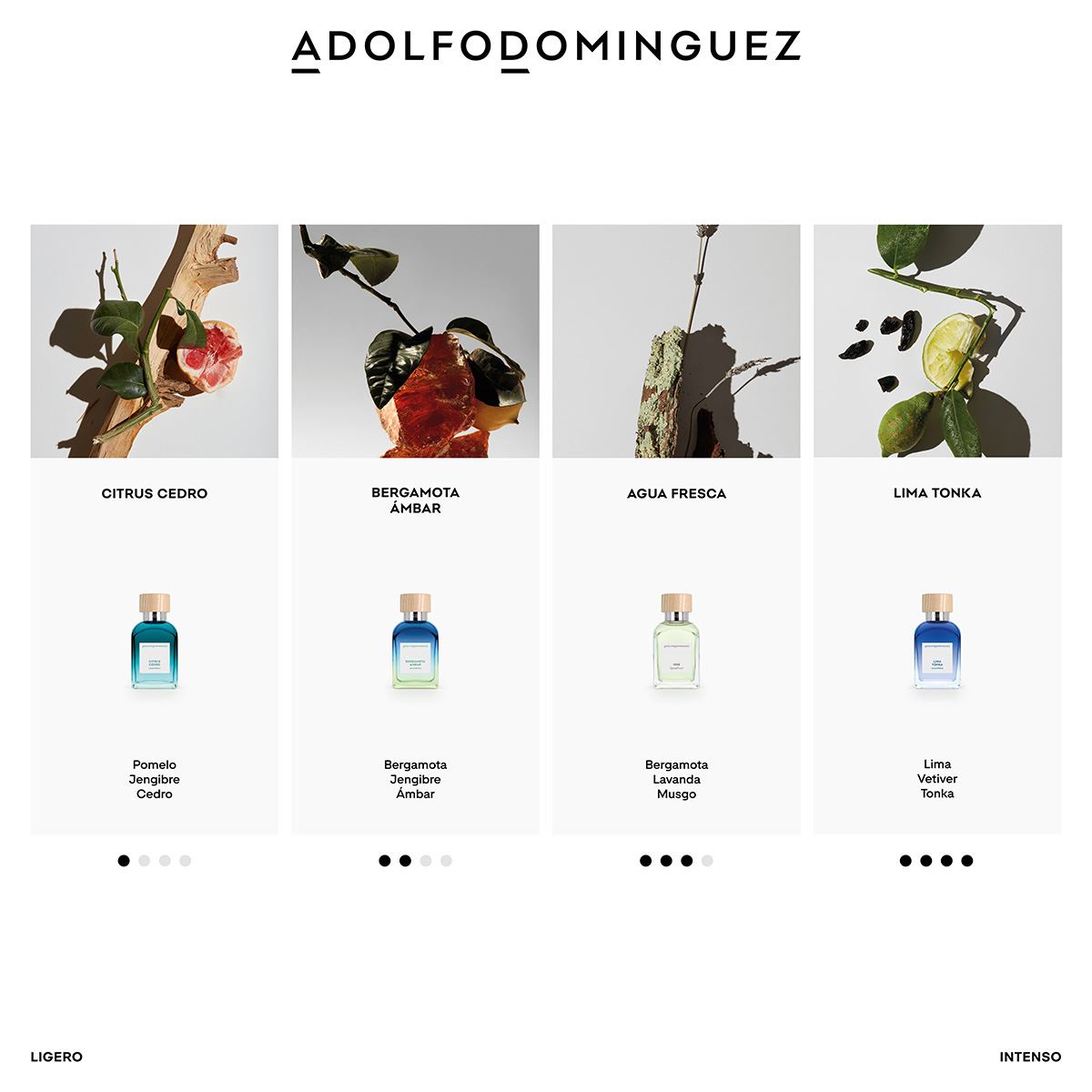 Set para Hombre Adolfo Dominguez Agua Fresca