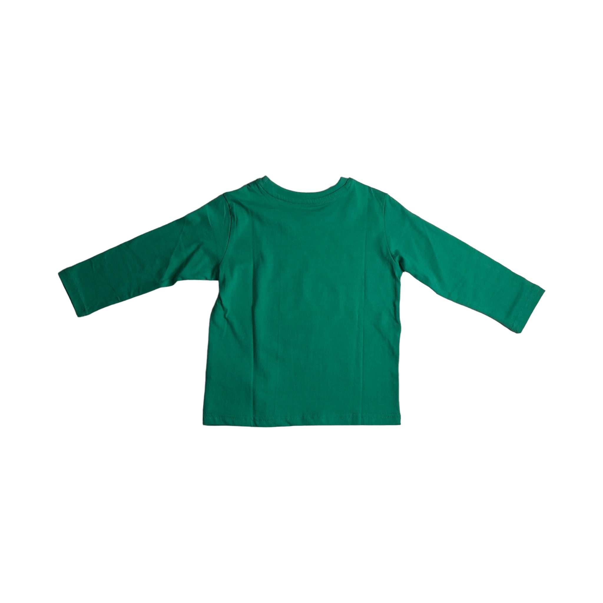 Playera “POLAR BEAR” verde niño LOSAN