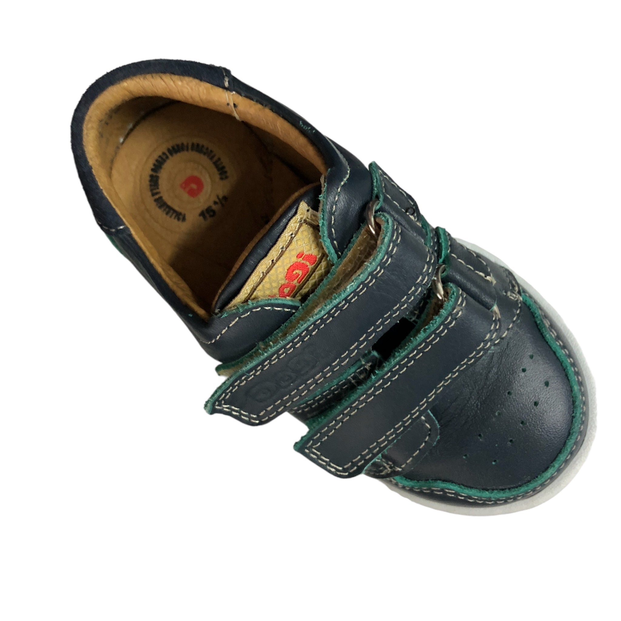 Zapato Urbano Azul/Verde Para Niño Dogi