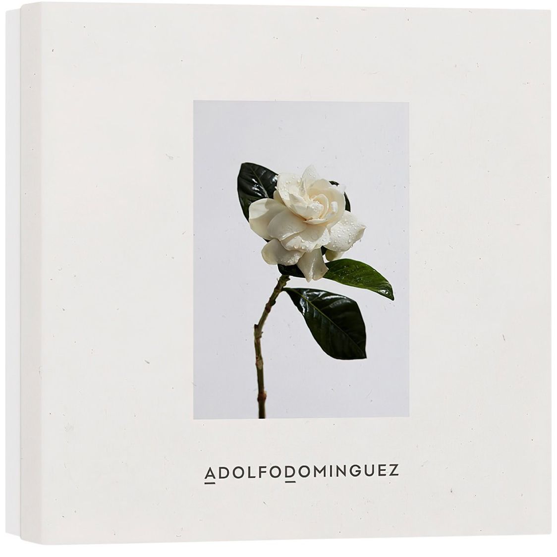 Agua Fresca de Gardenia para mujer / SET - 120 ml Eau De Toilette Spray