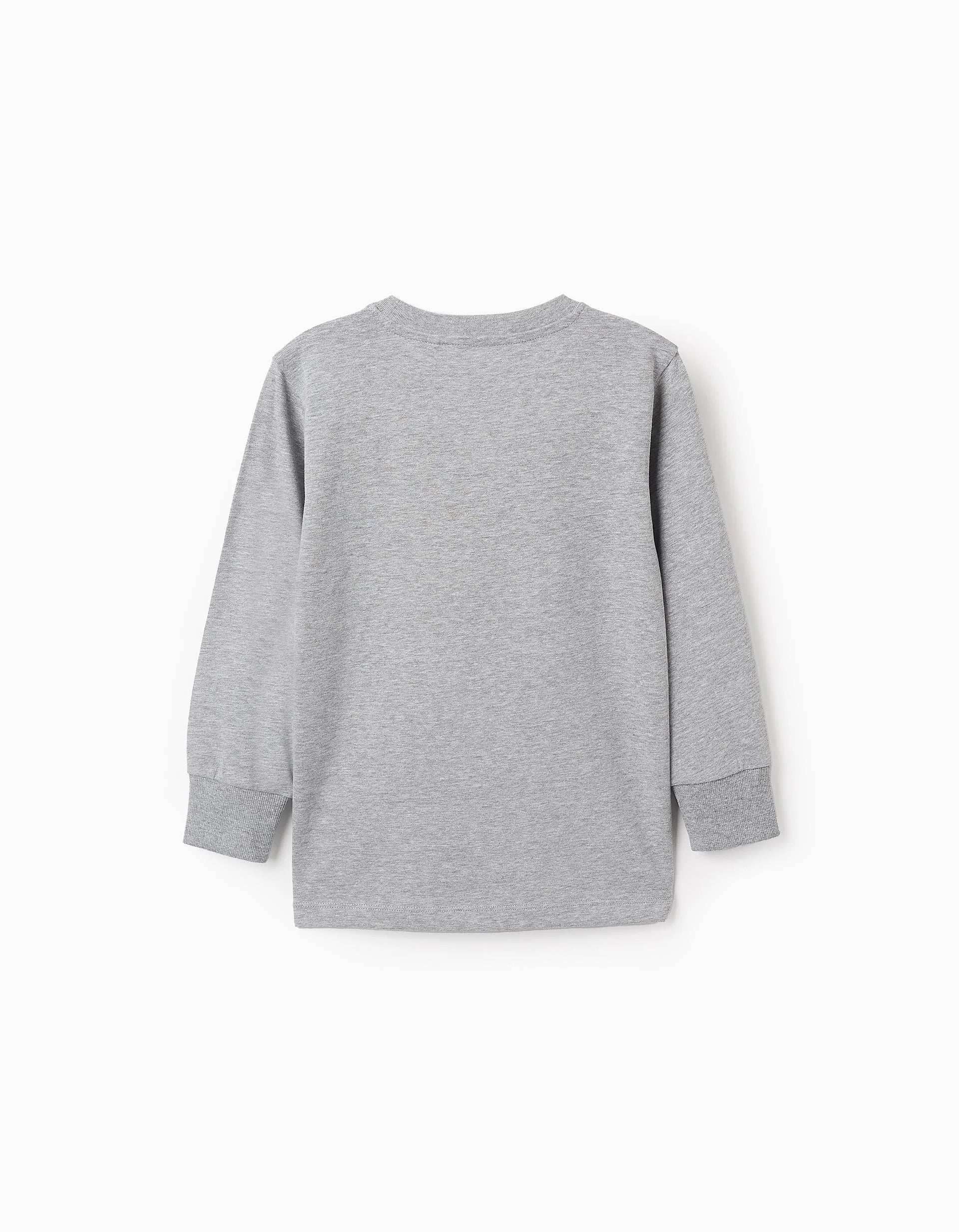 Playera de Manga Larga para Niño 'Urban Explorer Gris ZIPPY