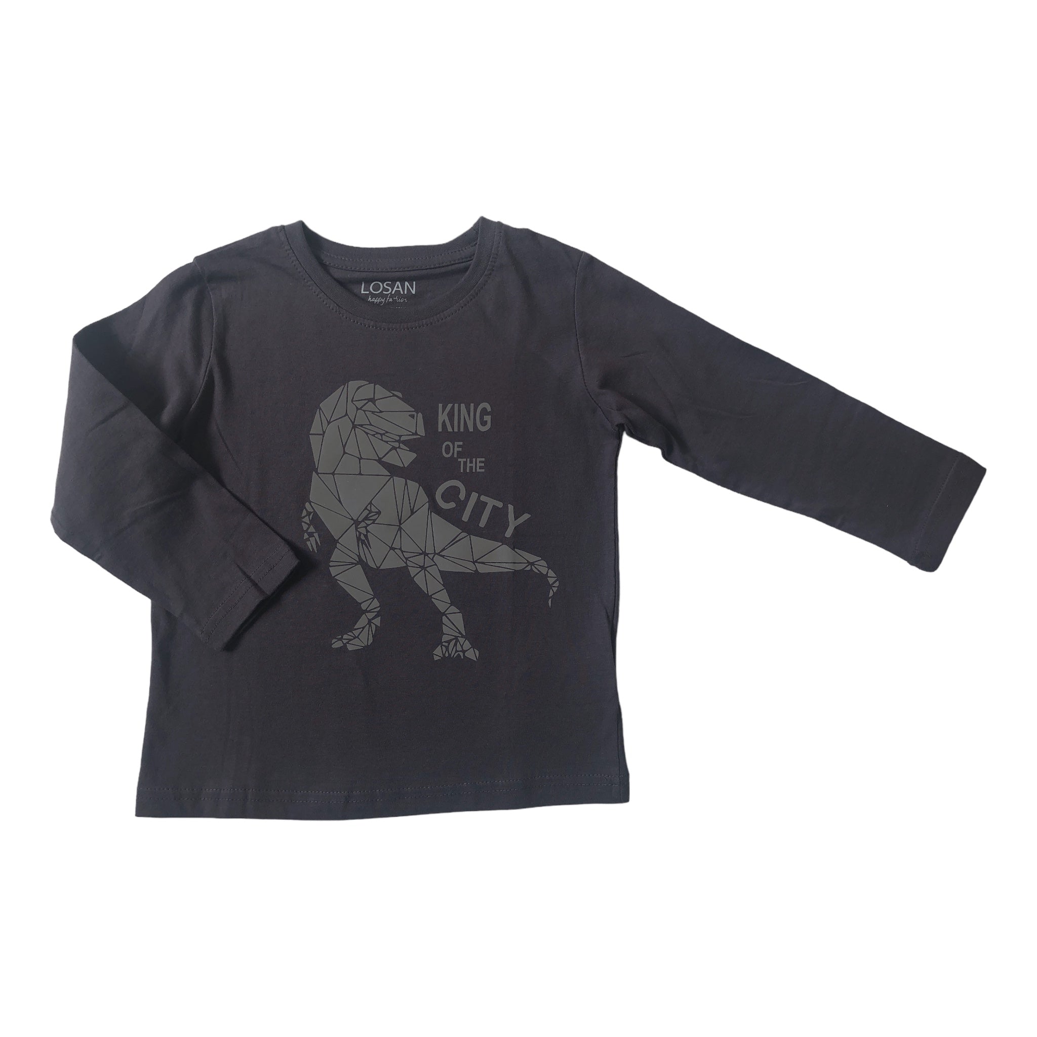 Playera Rex “KING OF THE CITY” gris niño Losan