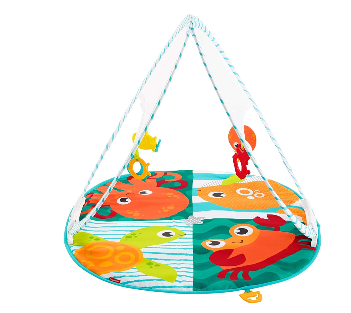 Gimnasio Portátil Para Bebe Fisher-Price